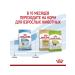ROYAL CANIN Dry food for small puppies X-Small Puppy 500 g - Buy Online on GoSupps.com