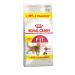 ROYAL CANIN Dry food for cats fit 32 400 gr - Buy Online on GoSupps.com