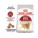 ROYAL CANIN Dry food for cats from 1 year FIT 32 200GR - Buy Online on GoSupps.com