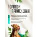 VEDA Phytoelite tablets Cytostat for dogs and cats 50 pcs - Buy Online on GoSupps.com