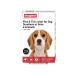 beaphar Boafar flea and ticks collar and ticks - Buy Online on GoSupps.com