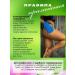 DivAltay Body scrub with oils - Buy Online on GoSupps.com