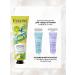 EVELINE Hand cream Lemon Fresh Protective 50 ml - Buy Online on GoSupps.com