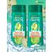 Garnier Fructs shampoo set growth in full force 2x250ml
