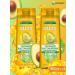 Garnier Fructs shampoo set triple recovery 2x400ml