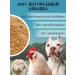 KORMIS Meat -bone flour for dogs cats and chicken 1 kg - Buy Online on GoSupps.com