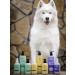 LISSILANDIA Contractor shampoo is nutritious for dogs and cats 5 liters - Buy Online on GoSupps.com