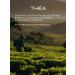 THEA Tea black leaf taiga collection - Buy Online on GoSupps.com