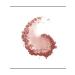 LUXVISAGE Silky blush Silk Dream 06 dark peach - Buy Online on GoSupps.com