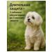 Simparika 120mg tablets from ticks and fleas for dogs 40 1-60 - Buy Online on GoSupps.com