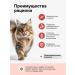 Actitail Cat food dry for beautiful wool and healthy skin - Buy Online on GoSupps.com