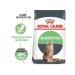 ROYAL CANIN Digestive 10 kg - Buy Online on GoSupps.com