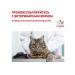 ROYAL CANIN Dry feed Renal Select for cats 2 kg - Buy Online on GoSupps.com