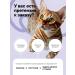 Actitail Dry food for cats with sensitive digestion - Buy Online on GoSupps.com