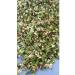 Crimean dried flowers Hawthorn Crimean 150 grams collection May 2025 - Buy Online on GoSupps.com