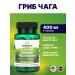 Swanson USA Full Spectrum Chaga Mushroom 400 mg 60 caps