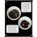 Puer Pitch Set of Chinese tea of the dime yes hun Pao - Buy Online on GoSupps.com