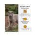 Immunocat with Q10 Vitamins for cats with taurin 120 tablets - Buy Online on GoSupps.com
