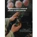 MK 17/03 hair conditioner - Buy Online on GoSupps.com