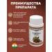 Sanavi Ayurveda Haritaki for cleansing the body and intestines 60 tab - Buy Online on GoSupps.com