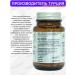 VeNatura Beta-glucan capsules T rkiye - Buy Online on GoSupps.com