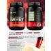 Optimum Nutrition Protein serum Gold Standard 100% Whey 907 g - vanilla - Buy Online on GoSupps.com