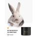 Althea Anti -cellulite moisturizer - Buy Online on GoSupps.com