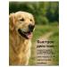 Nepsgard spectrum for dogs 2-3 5 kg - Buy Online on GoSupps.com