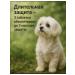 Nepsgard spectrum for dogs 2-3 5 kg - Buy Online on GoSupps.com