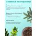 Phytotherapist Mycosophage from the nail fungus on the feet of the feet onholysis - Buy Online on GoSupps.com