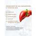 PHYTOZDRAV Choleretic agent for the liver - Buy Online on GoSupps.com