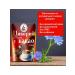RUSSIAN CHICORY Chicory soluble with cocoa package 130 grams - Buy Online on GoSupps.com