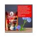 RUSSIAN CHICORY Tsikoria soluble with cocoa package 130 grams 5pcs - Buy Online on GoSupps.com
