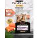 PRO PLAN Wet feed for Kitten kittens with salmon 26*85 g