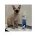 PETBIOLOGY Dermatological shampoo for dogs 400ml - Buy Online on GoSupps.com