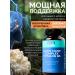 KORLAB Ezhovik Channel Mycelium 60 Capsules - Buy Online on GoSupps.com