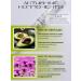 Vita Live Oil for cuticle Extract Monarchy and Avocado 2pcs - Buy Online on GoSupps.com