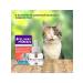 Ceva Felivei Frands for cats replaced block 48 ml - Buy Online on GoSupps.com