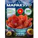 Maracuya dried without sugar 500 grams - Buy Online on GoSupps.com