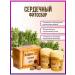 ALFIT Herbal tea 12 heart