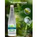 Karachinsky Source Karachinskaya mohito 12 pcs in glass 0.5 l
