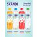 Niagara Premium Drink for weight loss Skandi "Detox" 12 pcs x 0.5 l - Buy Online on GoSupps.com