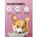 BOWL WOW Slumed treat for dogs and puppies 30g - Buy Online on GoSupps.com