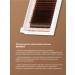 BarBara Mix eyelashes with 0.10 4-11 mm brown coffee - Buy Online on GoSupps.com