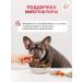A FAT MOSK Beef shirt for dogs 300 grams a treat - Buy Online on GoSupps.com