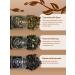TEVO Gift set of leaf tea 12 tastes - Buy Online on GoSupps.com