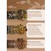 TEVO Gift set of leaf tea 12 tastes - Buy Online on GoSupps.com