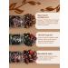 TEVO Gift set of leaf tea 12 tastes - Buy Online on GoSupps.com