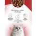 Best dinner Feed for kittens dry beef potatoes 1.5 kg - Buy Online on GoSupps.com