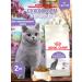 ROYAL CANIN Dry food for cats Sterilized 37 (sterilizhez 37) 2kg